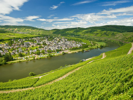 View from Marienburg to the wine village of Pünderich