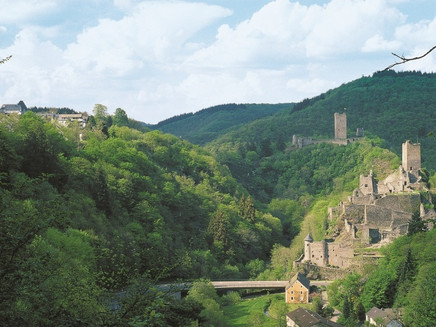 Die Manderscheider Burgen
