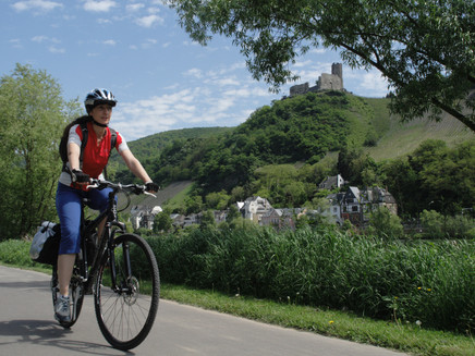Der Mosel-Radweg bei Bernkastel-Kues