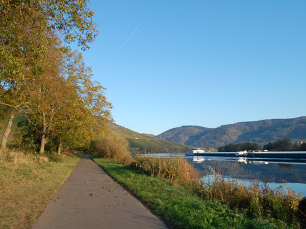 Der Mosel-Radweg hinter Lieser