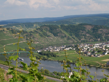 Moselschleife bei Piesport