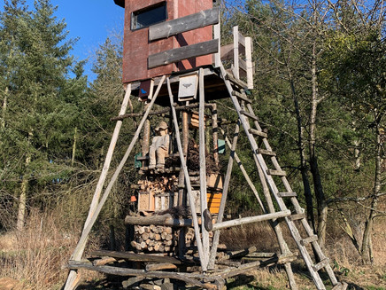 Lebensturm
