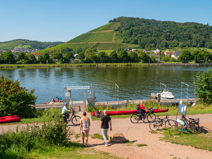 Saar-Radweg bei Schoden