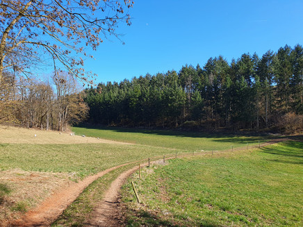 View from the height