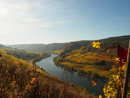 Burg im Herbst