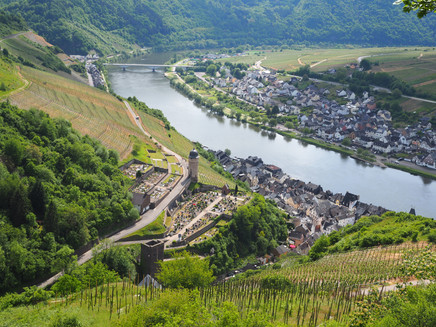 Zell von oben