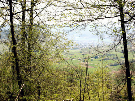 View from the Plateau