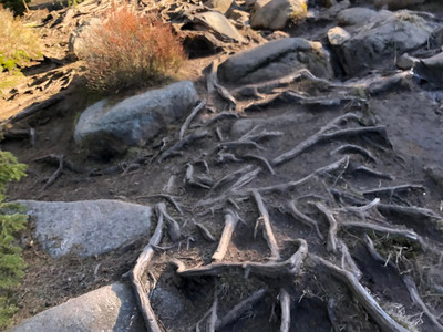 Eckerloch - Devil's Path