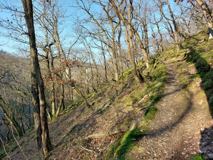 Wanderpfad