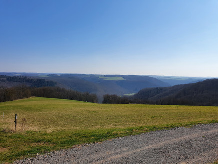 Wide views in the Hunsrück