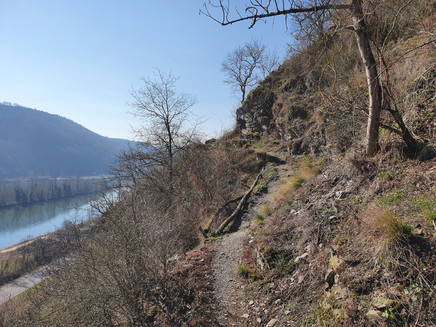 hiking trail