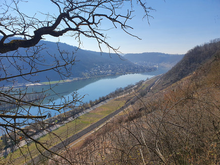 View of the Mosel