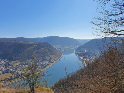 View from the Ausoniusstein