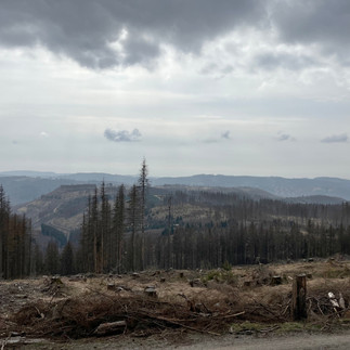 Aussicht vom "Acker" Richtung "Großer Knollen"