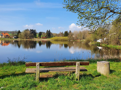 Oberer Teich in Stiege