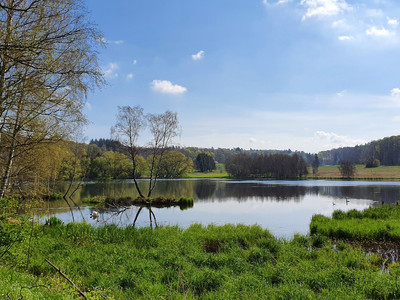Stieger See