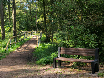 Schattiges Plätzchen