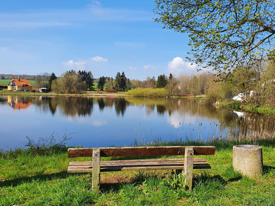 Oberer Stieger Teich