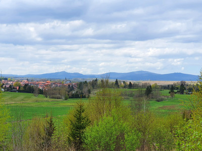 Aussichtspunkt Am Lerchenberg mit Brockenpanorama & Rastbank