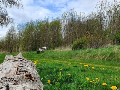 Bank zwischen Stockhorn & Lerchenberg