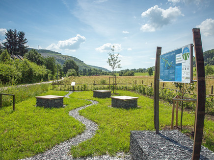 Starting point at Grünhaus Mertesdorf