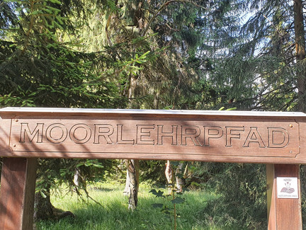 Eingang zum Moorpfad