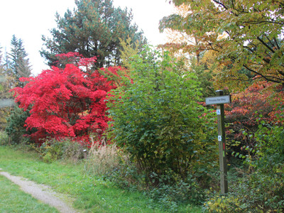 Weltwald Bad Grund