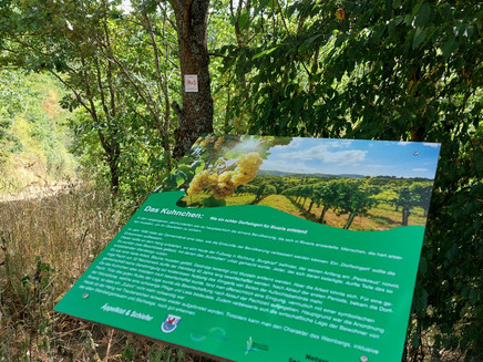 Infotafel am Kuhnchen