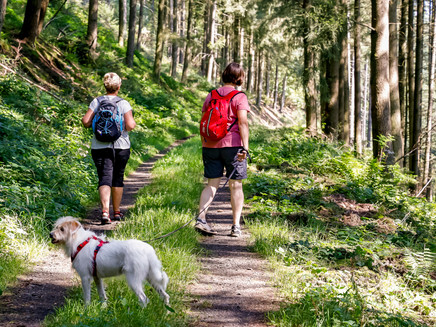 Hiking on the Moselsteig detour Rocks.Barrels.Timber framing