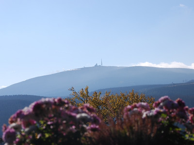 View towards the Brocken (photo: Bennet Doerge)