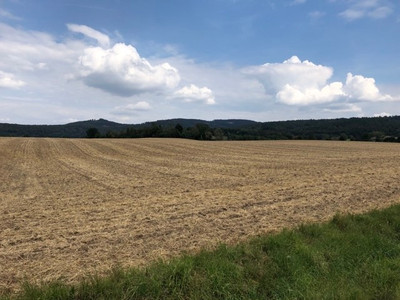 Feldmark Winkelsmühle