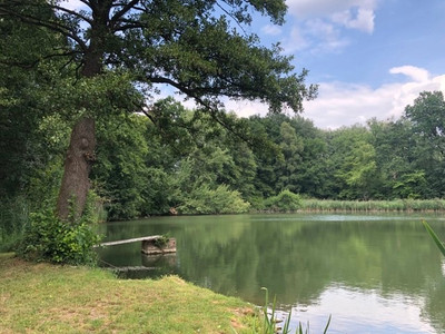 Pond Landscape Winkelsmühle