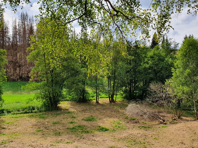 Dammbachtal Trautenstein