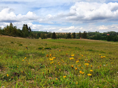 Blick über die Wiesen im Dammbachtal