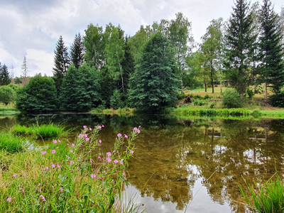 Naturteich im Dammbachtal