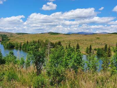 View from the Harzer-Hexen-Stieg on the Rappbode-Vorsperre