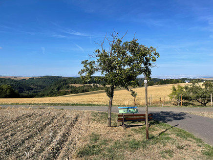 Rastplatz entlang des Osburger Panoramawegs