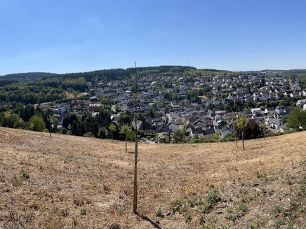 Rest area with a view