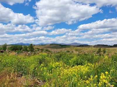 View from the Harzer-Hexen-Stieg towards Brocken and Wurmberg