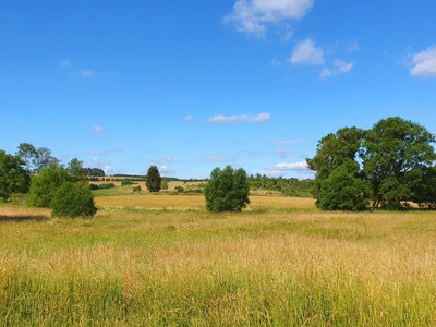 Meadow view at the Hagenmühle
