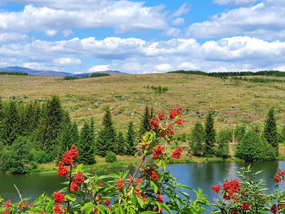 Rappbode Reservoir Dam with a view of the Brocken