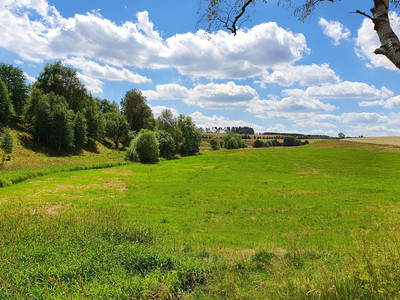 Meadow view at the Hagenmühle