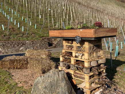 Insect hotel