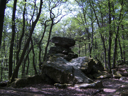 Wildstein