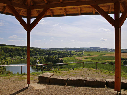 Wehrer Rosenberg (1)