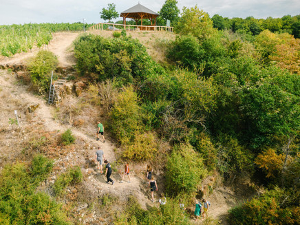 Wehrer Rosenberg (8)