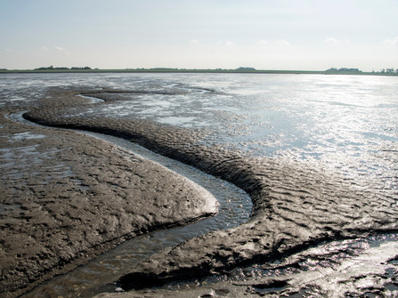 Wattlandschaft vor Wremen