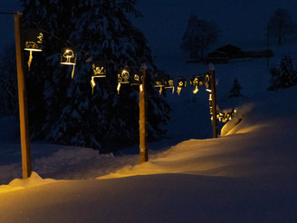 Winterlicher Abendspaziergang auf dem Büchsenweg