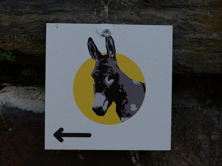 Eselspächen in Graach - Logo