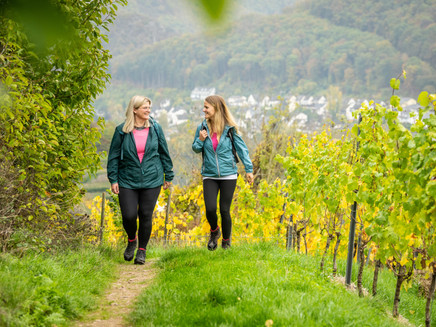 Wandern entlang von Weinbergen
